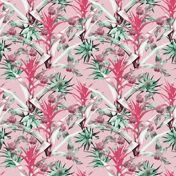 古兹曼花与芦荟和热带植物无缝图案。图片下载