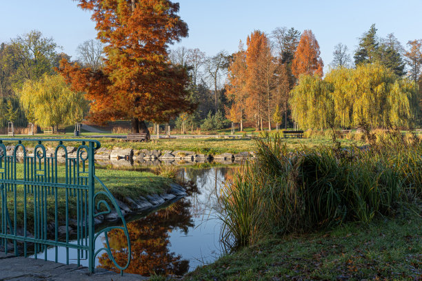 捷克共和国布拉格斯特罗莫夫卡镇公园的风景。树上、小路和池塘里五颜六色的秋叶。宁静的清晨景色图片下载