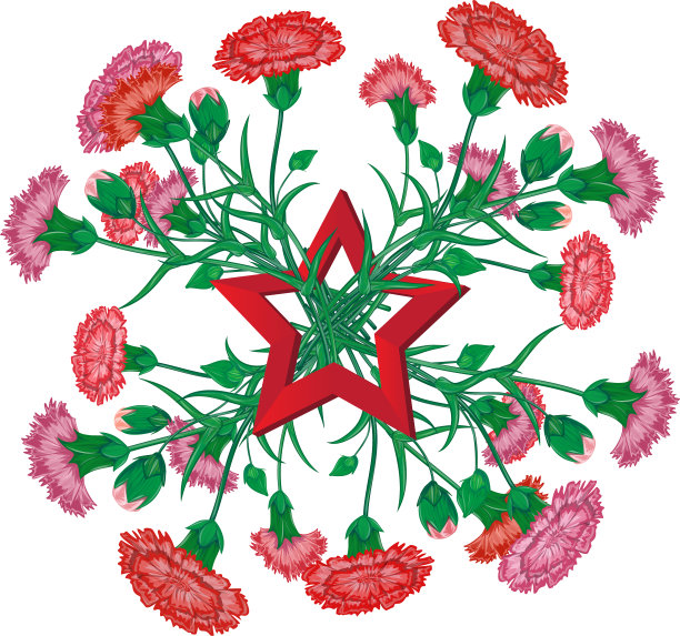 红色康乃馨花束与圣乔治丝带图片下载