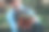 在常绿植物苗圃工作的中年男子图片下载