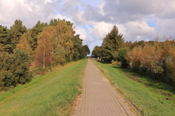 位于波罗的海Zingst的自然保护区图片下载