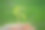 绿色植物在一个女孩手中自然的绿色背景。图片下载