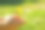 绿色植物在一个女孩手中自然的绿色背景。图片下载