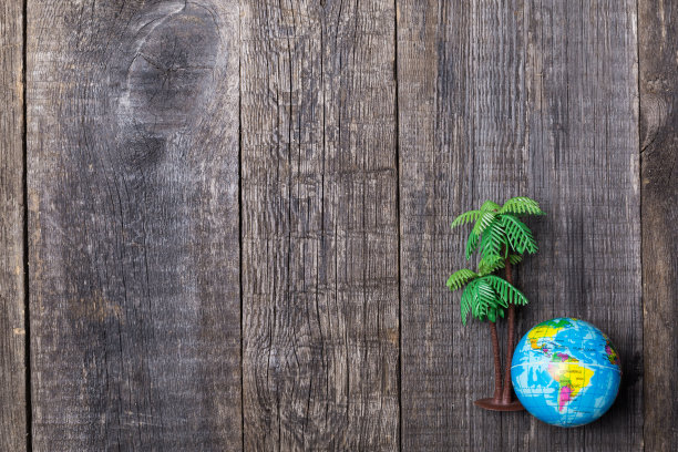 塑料玩具的棕榈树和地球上的乡村木制背景图片下载