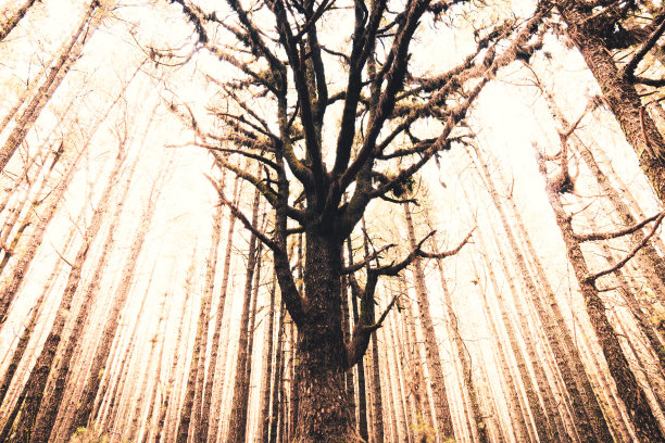 特内里费图片下载