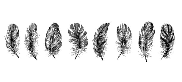 羽毛图标设置手绘涂鸦图片下载