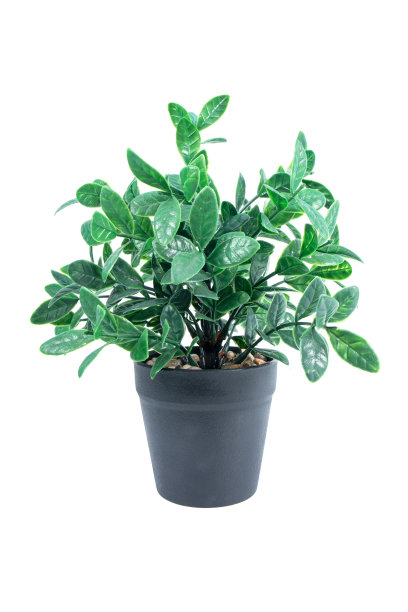 人工绿树装饰的花盆孤立在白色的背景。假装饰树在塑料盆栽隔离图片下载