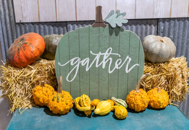 庆祝秋收季节和感恩图片下载