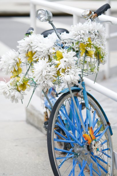 花的自行车图片下载