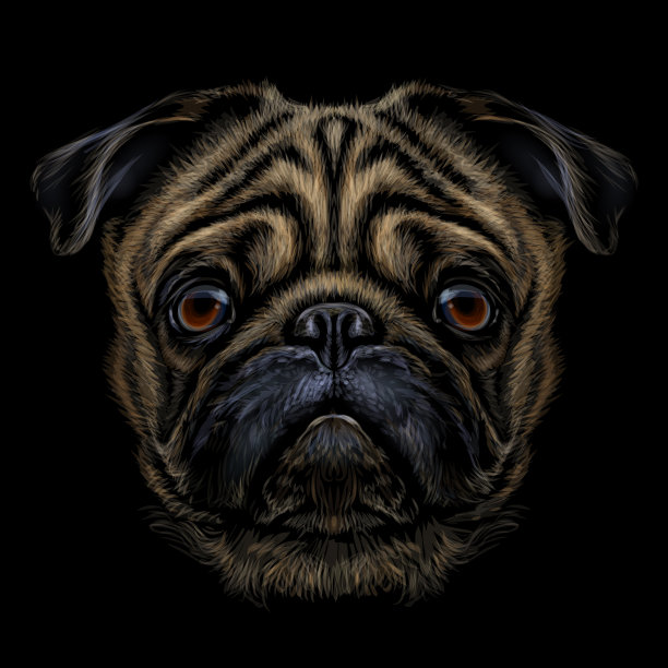 哈巴狗手绘彩色图形肖像哈巴狗图片下载