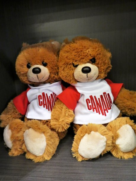 两只棕色泰迪熊并排坐着，穿着白色t恤，t恤前面写着“加拿大”图片下载