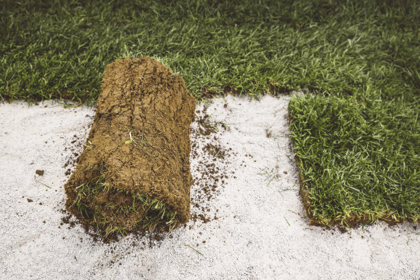 草皮滚准备安装图片下载
