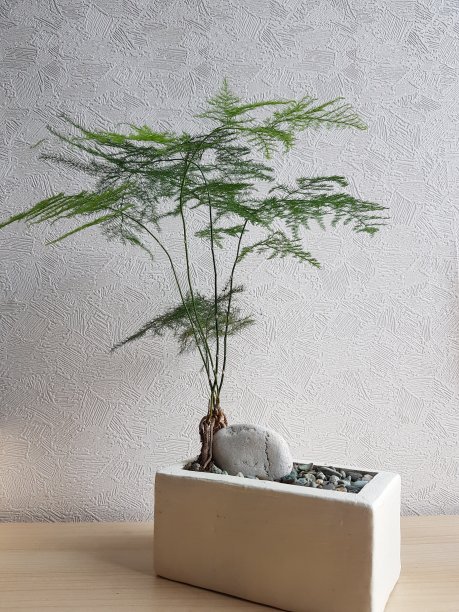 大自然的美丽图片下载