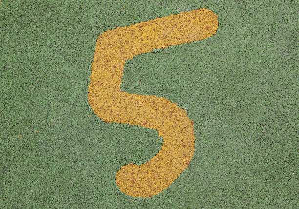 Numberfive的信息图片下载