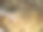 自制意大利面酱在大平底锅中烹饪。图片下载