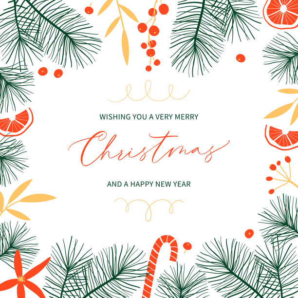 圣诞植物贺卡与冷杉树枝和地方的文字。图片下载