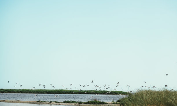 这是一对在海边相爱的情侣在日落时分享受彼此的爱慕图片下载