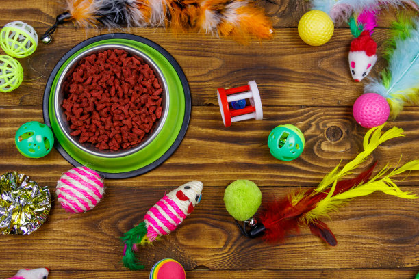 一套玩具猫和碗与干宠物食品在木制背景。前视图。宠物护理的概念图片下载