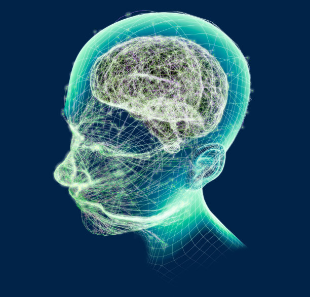 儿童和青少年的大脑发育。刺激和想法。神经元和突触是如何工作的。图片下载