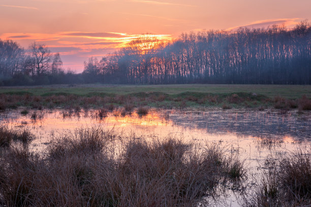 可爱的春日黄昏沼泽，色彩斑斓的自然景观与彩色的天空素材图片