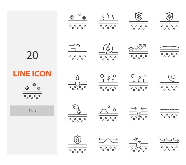 套皮肤细线图标，护肤，表皮，保湿图片下载