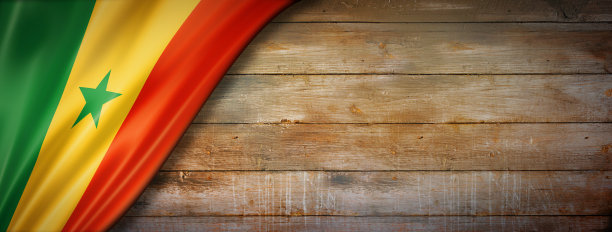 塞内加尔国旗上的复古木墙横幅图片下载