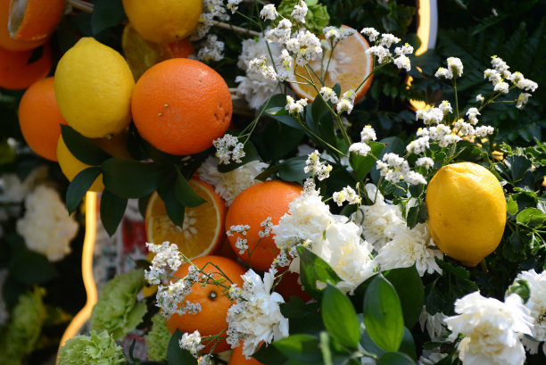 用柠檬和橙子来装饰鲜花图片下载