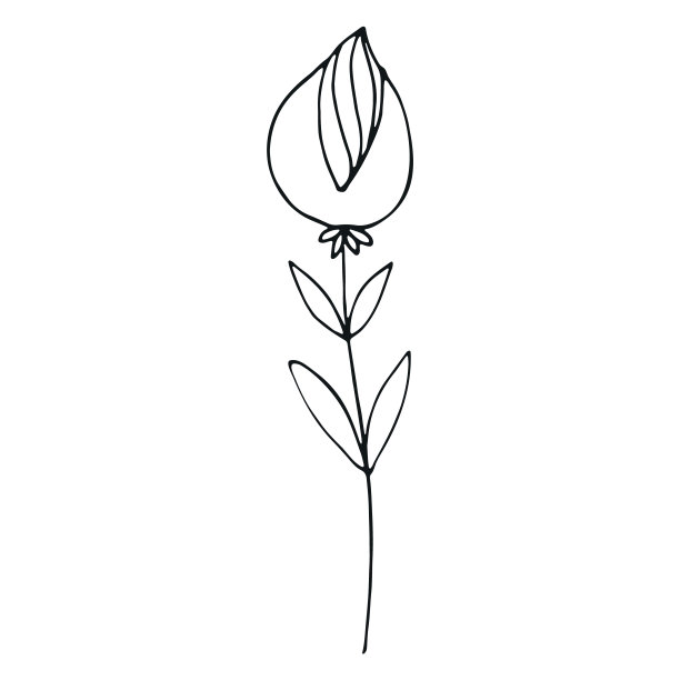 装饰元素设计邀请，婚礼贺卡，情人节。图片下载