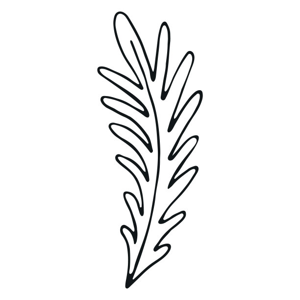 手绘花卉涂鸦元素的照片册装饰图片下载