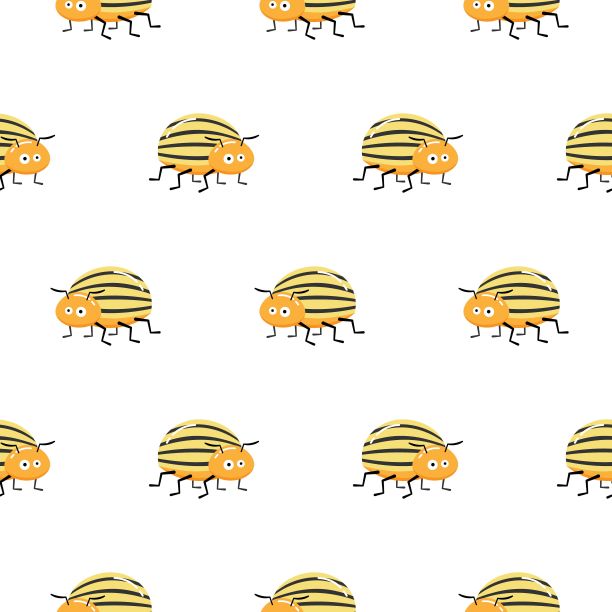 无缝图案与卡通科罗拉多土豆甲虫。Leptinotarsa decemlineata。科罗拉多甲虫。科罗拉多甲虫。图片下载