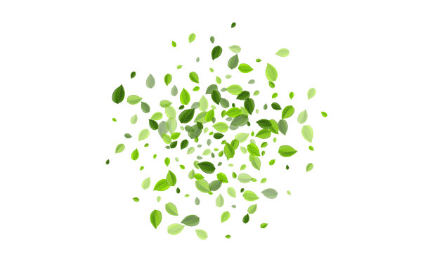 森林的叶片有机边界透明图片下载