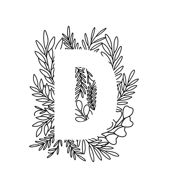 字母D在细线中离开图片下载