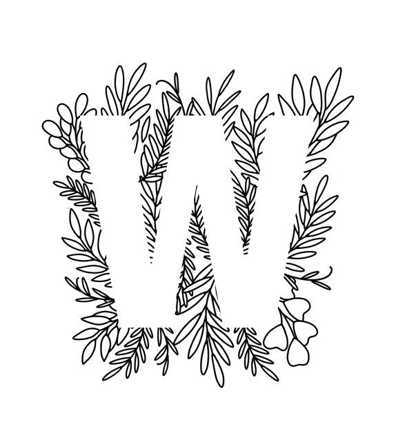 字母W在细线中离开图片下载