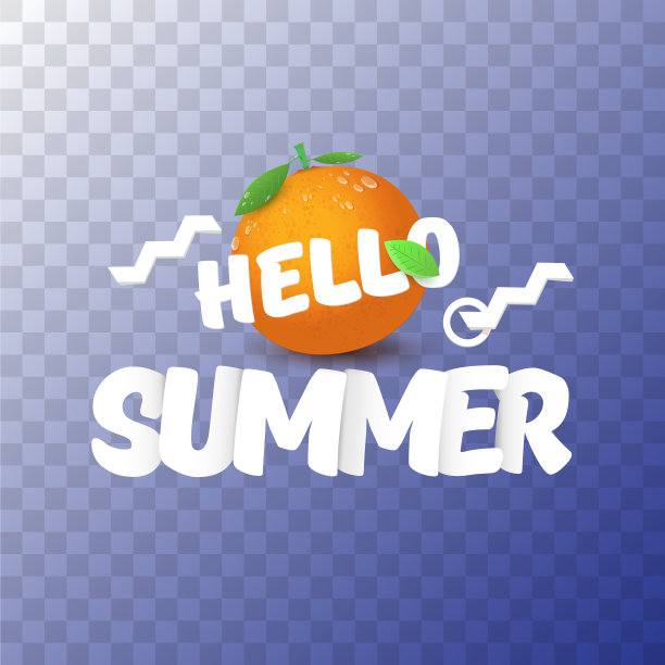 你好夏日派对标签或传单设计图片下载