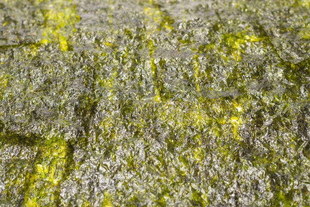 紫菜作为背景。前视图。图片下载