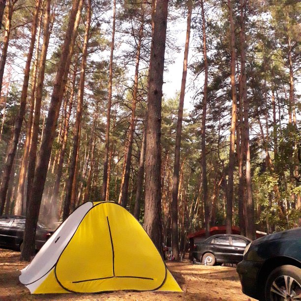 林中露营图片下载