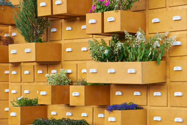 庭园装饰以衣柜的形式与户外花卉植物相结合图片下载