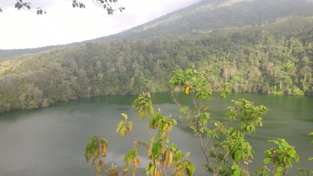 湖大Tolire图片下载