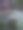 蜜蜂和露水图片下载