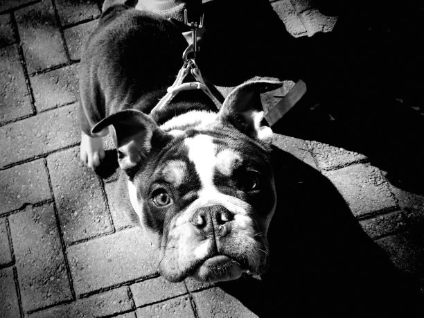 神圣的本性第二部分图片下载