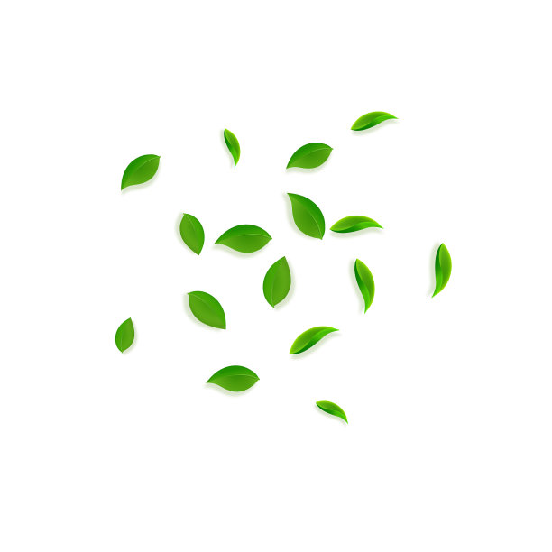飘落的绿叶，新鲜的茶叶，随机的叶子飞图片下载