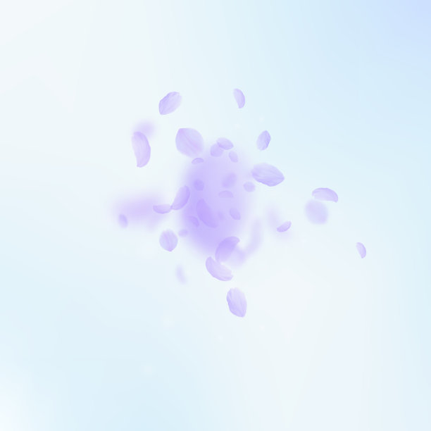 紫罗兰花瓣飘落，令人赞叹图片下载