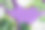 棕榈叶和怪物叶和斑点抽象形状在粉红色的纸背景，框架与copyspace图片下载