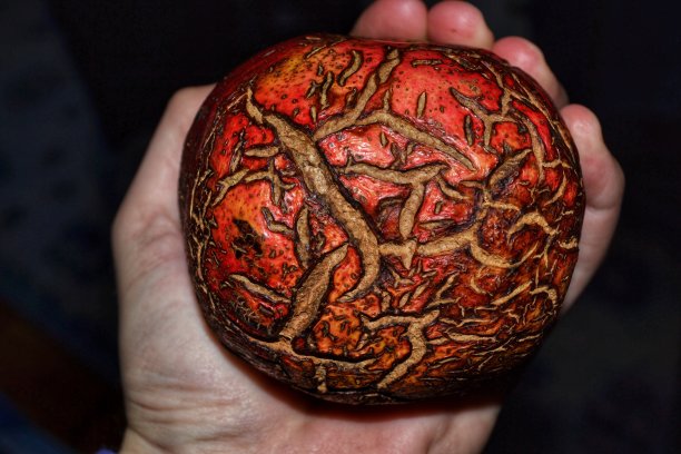 石榴在这里图片下载