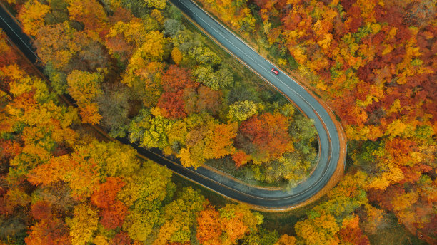 鸟瞰图蜿蜒的山路在森林在秋天图片下载