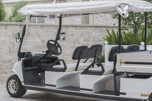 长电动俱乐部车图片下载