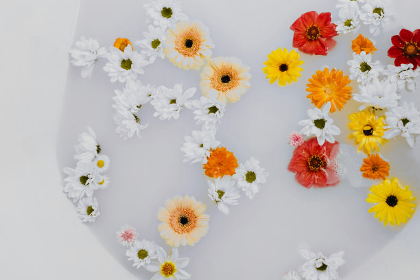 白水里五颜六色的花。图片下载