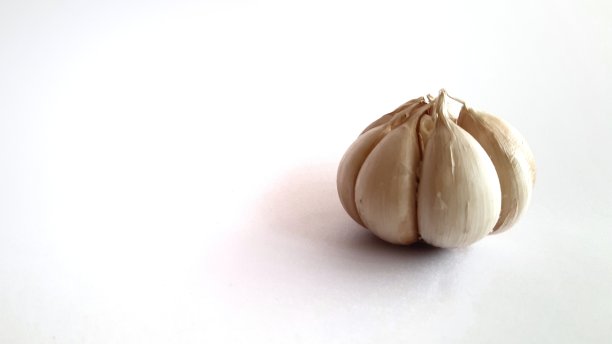 在白色背景上分离大蒜。图片下载