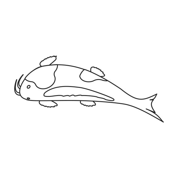 鲤鱼iconline图标孤立上图片下载