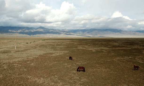 俄罗斯美丽的风景，有山脉和草原的景色。鸟瞰图的景观放牧野生棕色马在草原上。俄罗斯，西伯利亚，图瓦共和国(图瓦共和国)。被无人机捕获。图片下载